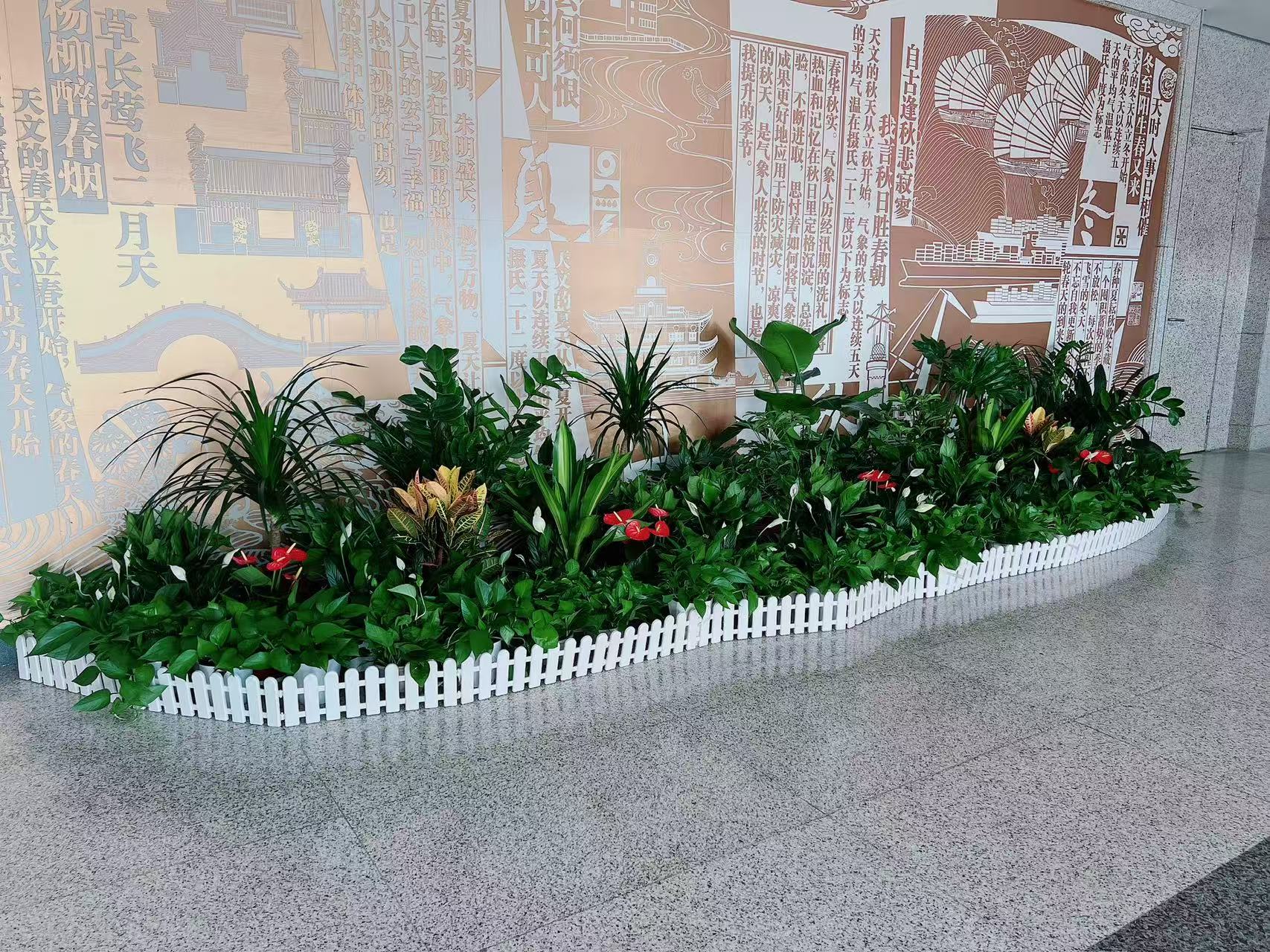 宁波慈溪绿植租摆